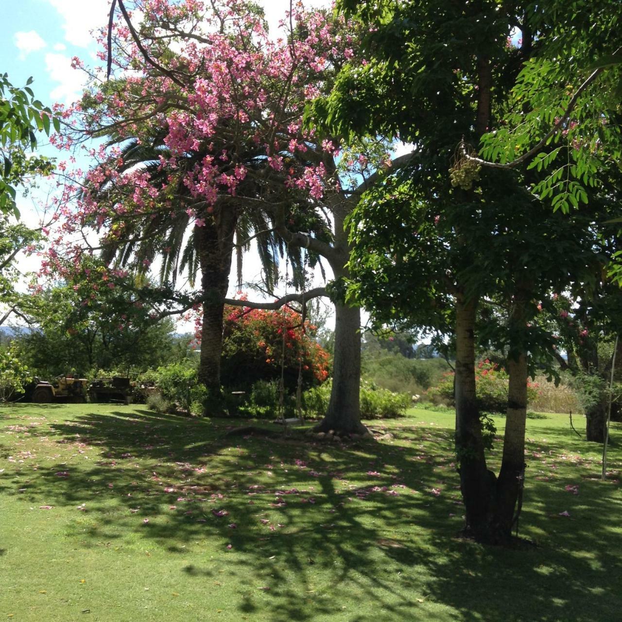 Gerald'S Gift Guest House Addo Exteriör bild
