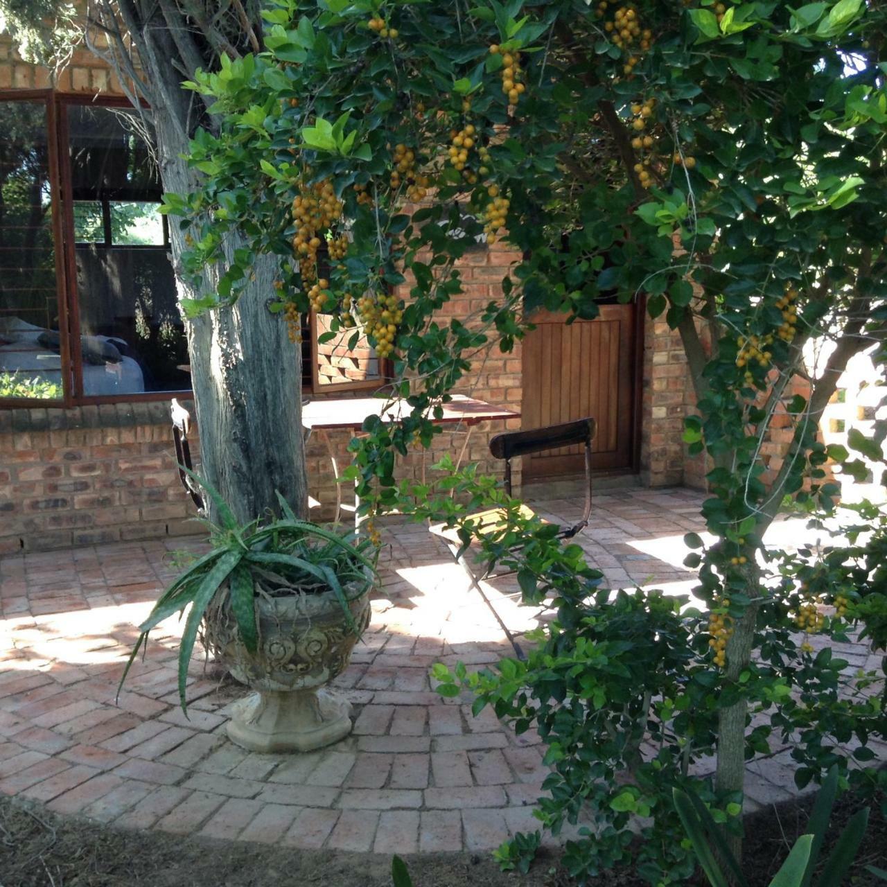 Gerald'S Gift Guest House Addo Exteriör bild